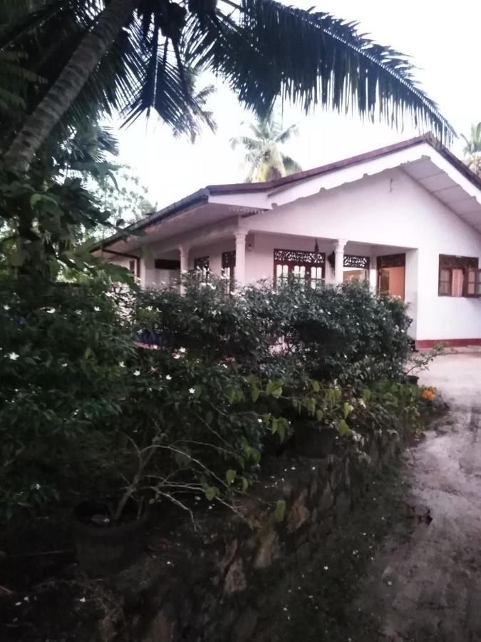 Field Island Villa - Ahangama Habitación foto