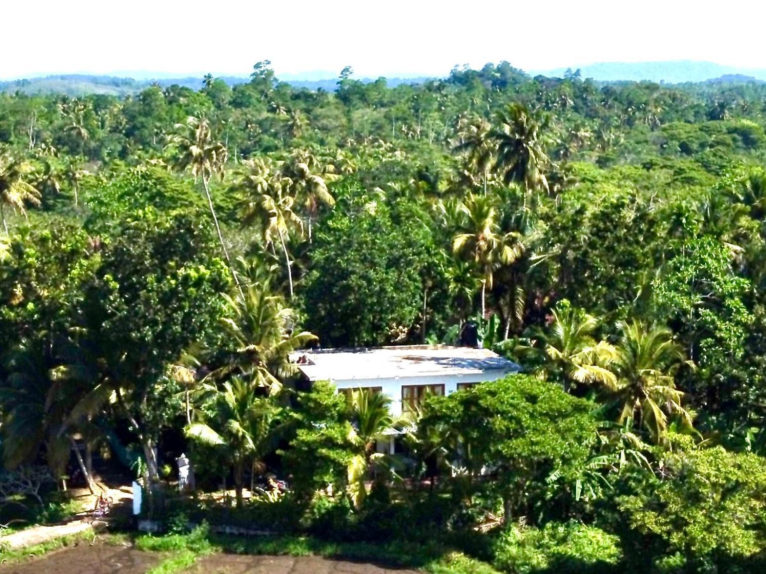 Field Island Villa - Ahangama Exterior foto
