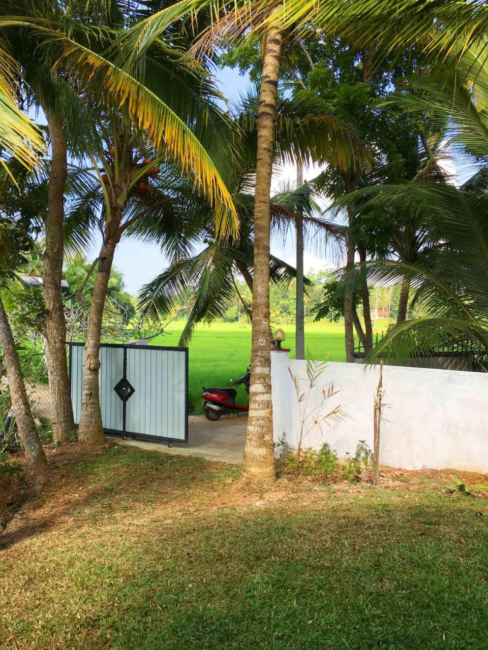 Field Island Villa - Ahangama Exterior foto