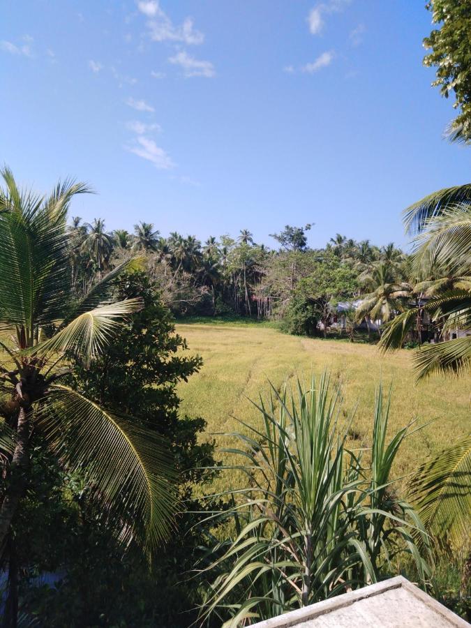 Field Island Villa - Ahangama Exterior foto